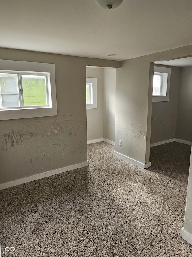 basement featuring carpet