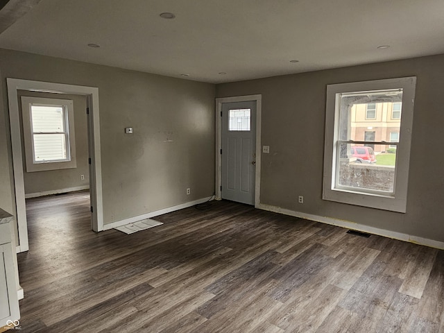 foyer featuring a healthy amount of sunlight and dark wood-type flooring