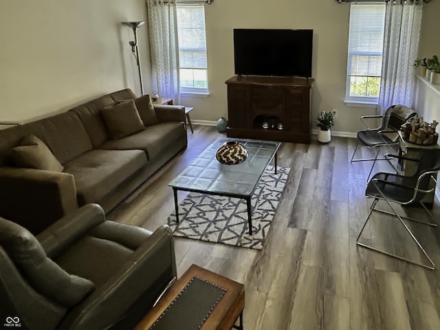 living room with hardwood / wood-style flooring