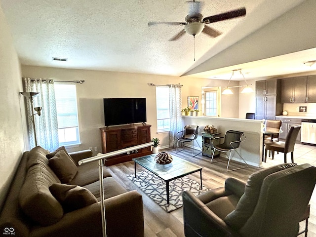 living room featuring a textured ceiling, plenty of natural light, lofted ceiling, and light wood-type flooring