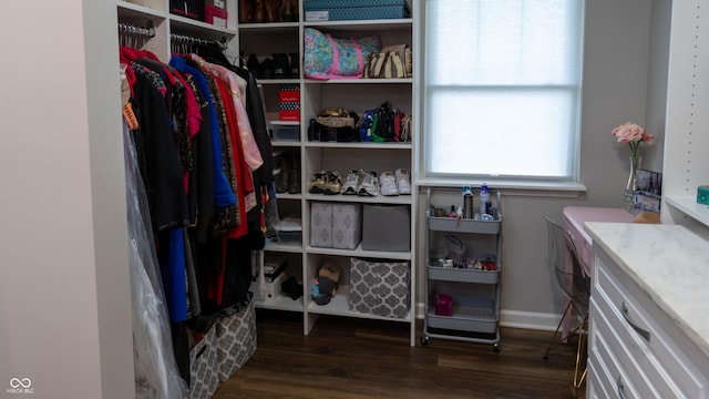 spacious closet featuring dark hardwood / wood-style floors