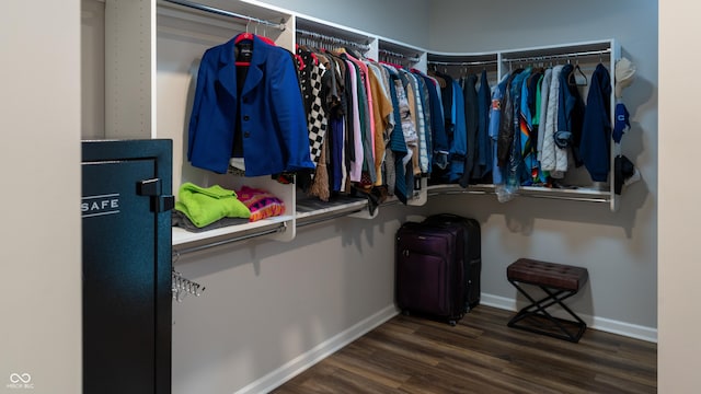 spacious closet featuring dark hardwood / wood-style flooring