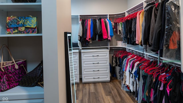 walk in closet featuring dark hardwood / wood-style floors