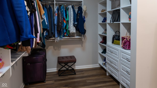 spacious closet with dark hardwood / wood-style floors