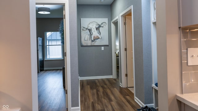 hall with dark hardwood / wood-style floors