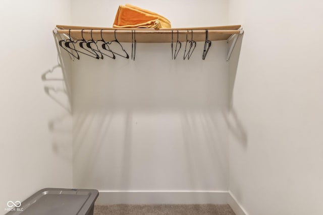 359 Terrace Ave, Indianapolis, IN 46225 - walk in closet featuring carpet floors