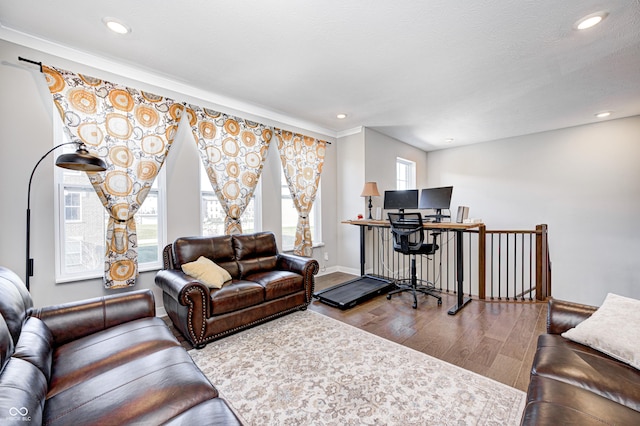 living room with hardwood / wood-style flooring