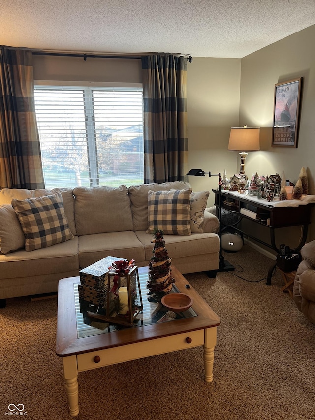 living room featuring carpet and a textured ceiling