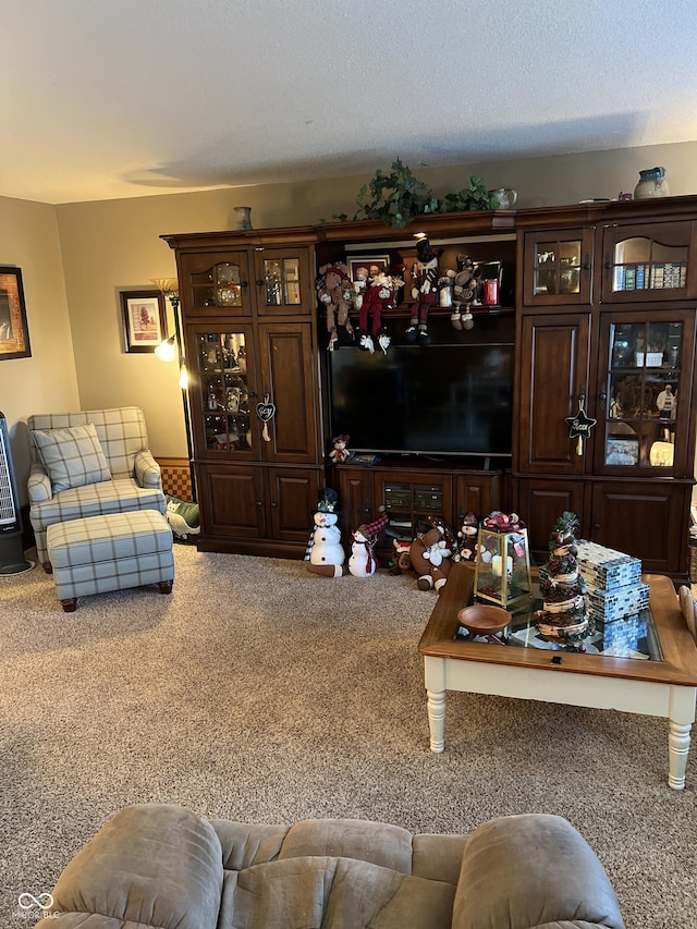 living room with carpet and a textured ceiling