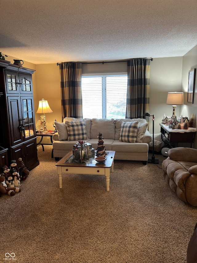 living room featuring carpet floors and a textured ceiling