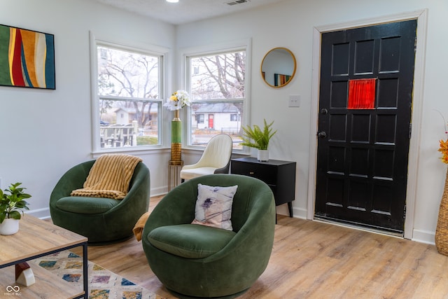 living area with light hardwood / wood-style floors and plenty of natural light