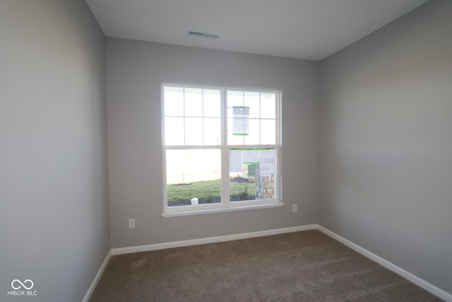 unfurnished room featuring carpet floors and a wealth of natural light