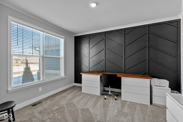 unfurnished office with crown molding and light colored carpet