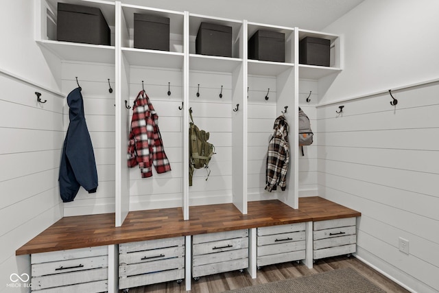 mudroom with dark wood-type flooring