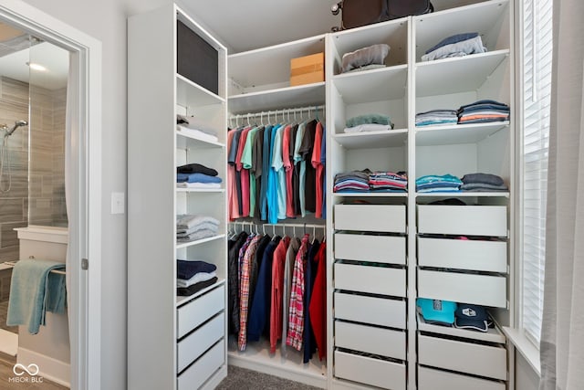 walk in closet featuring hardwood / wood-style flooring