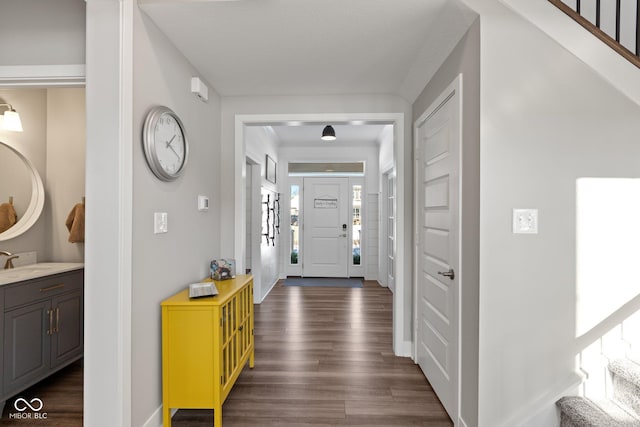 foyer entrance with sink and dark wood-type flooring