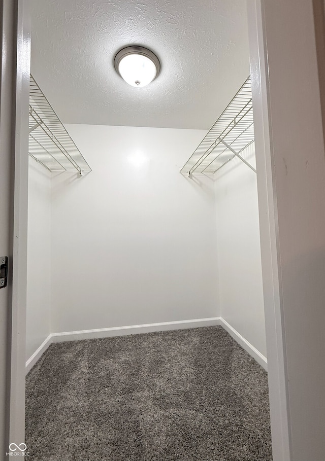 walk in closet with carpet flooring