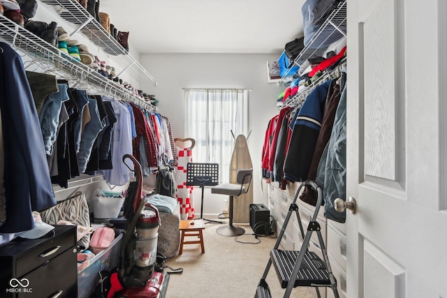 spacious closet with carpet flooring