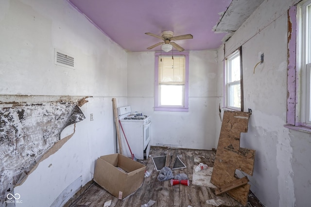 interior space with wood-type flooring, ceiling fan, and a healthy amount of sunlight