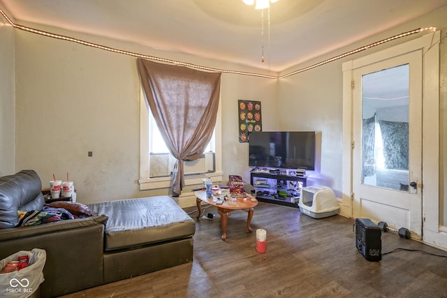 living room with hardwood / wood-style floors