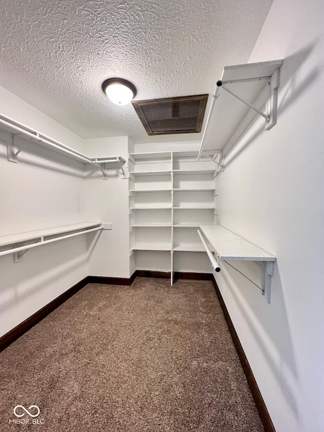 walk in closet with dark colored carpet