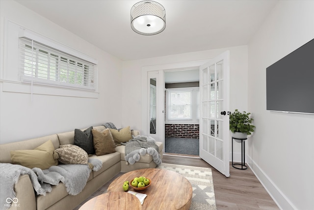 625 N Grant Ave, Indianapolis, IN 46201 - living room with plenty of natural light, french doors, light wood-type flooring, and baseboards