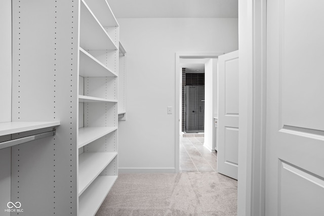 spacious closet featuring light carpet