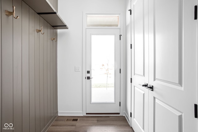 entryway featuring wood-type flooring