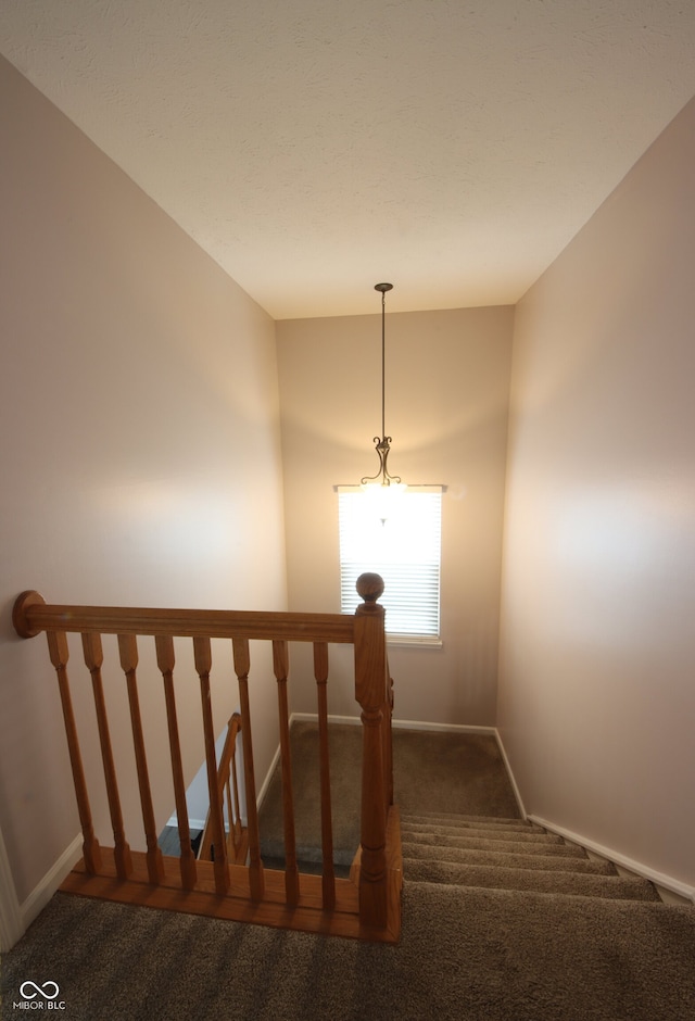 staircase featuring carpet flooring