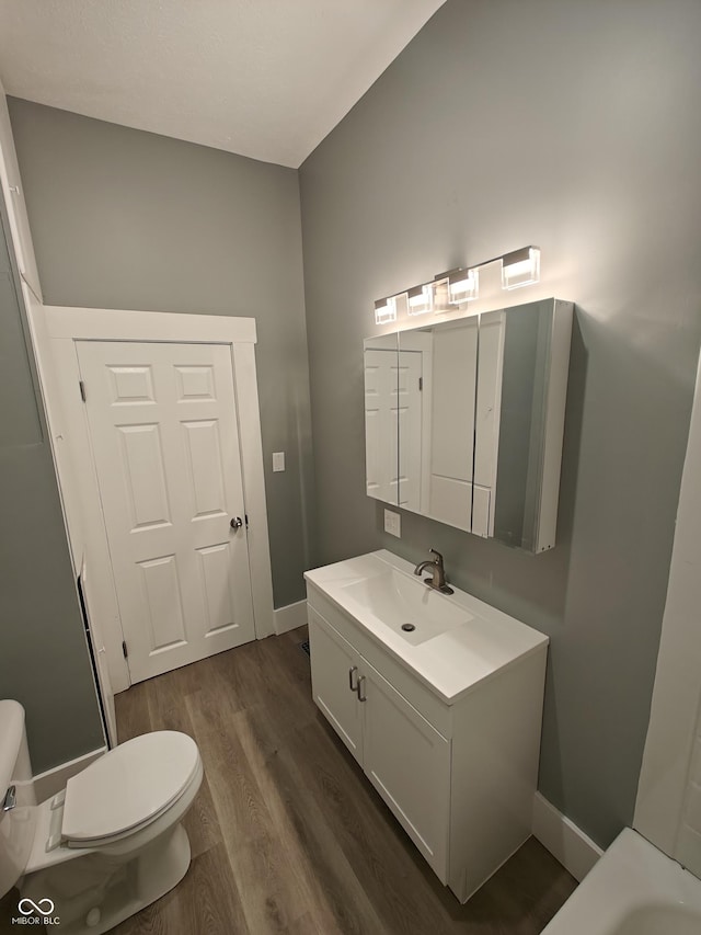 bathroom with vanity, hardwood / wood-style flooring, and toilet