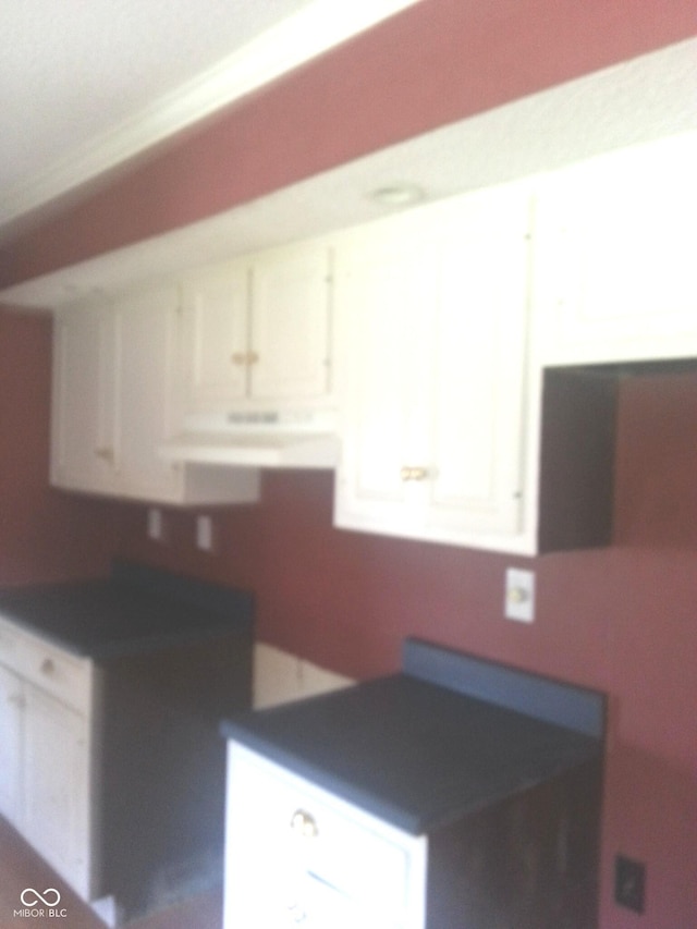 kitchen with white cabinets