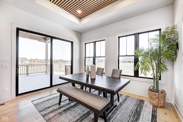 dining room featuring light hardwood / wood-style floors, a raised ceiling, and a healthy amount of sunlight