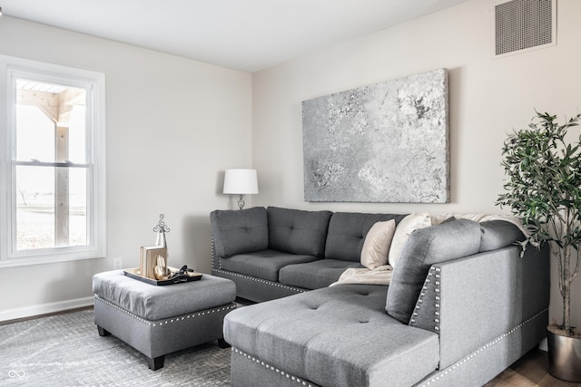 living room with wood-type flooring and plenty of natural light