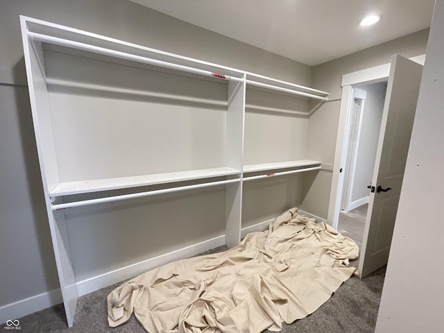 spacious closet with dark colored carpet