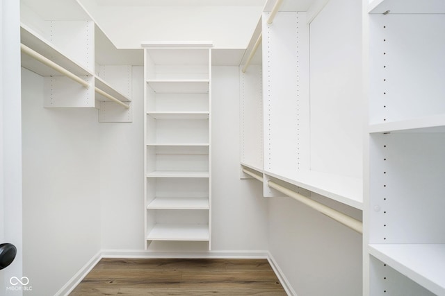 spacious closet with dark hardwood / wood-style floors