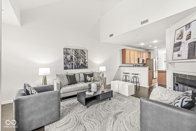 living room featuring a fireplace and dark wood-type flooring