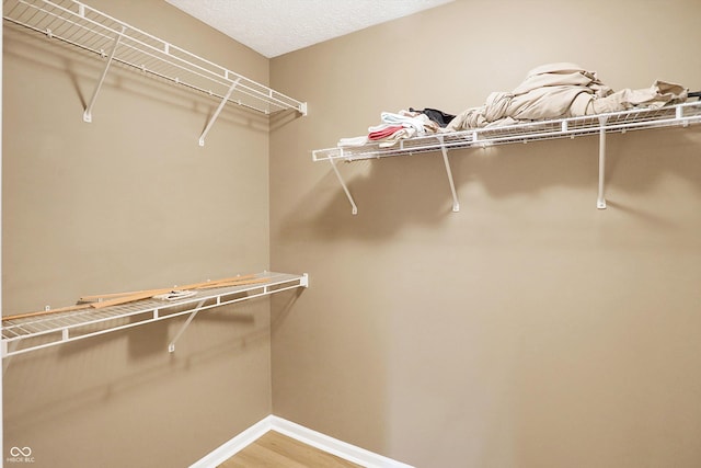 spacious closet with hardwood / wood-style flooring