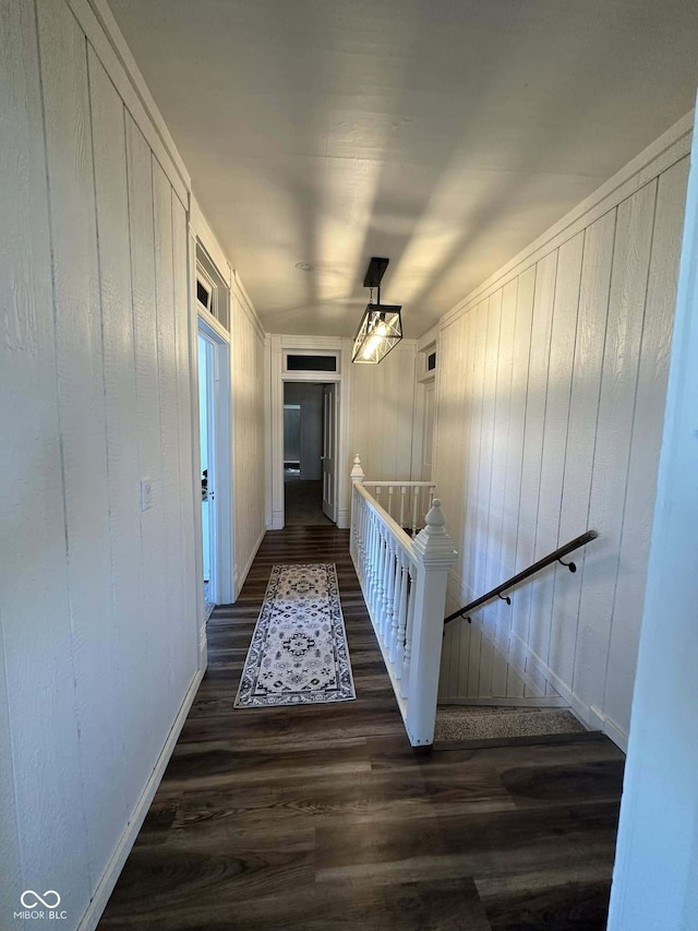 hallway featuring wooden walls and dark wood-type flooring