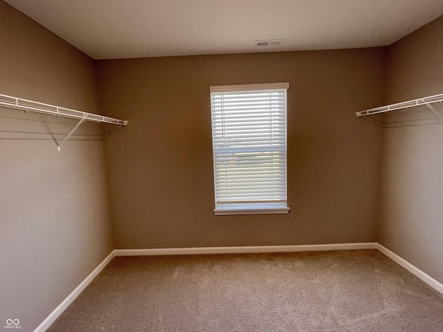 walk in closet featuring carpet