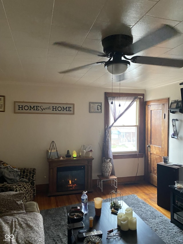 living room featuring hardwood / wood-style floors and ceiling fan