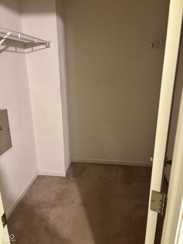 walk in closet with carpet flooring