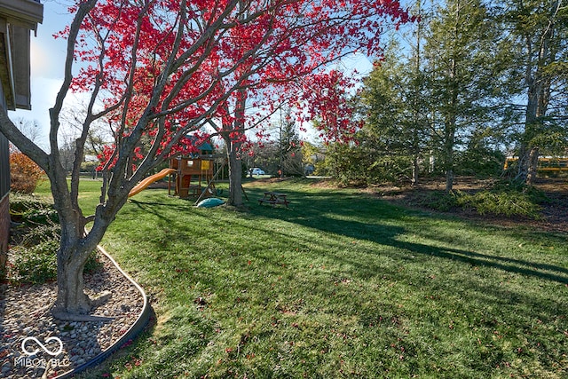 view of yard featuring a playground