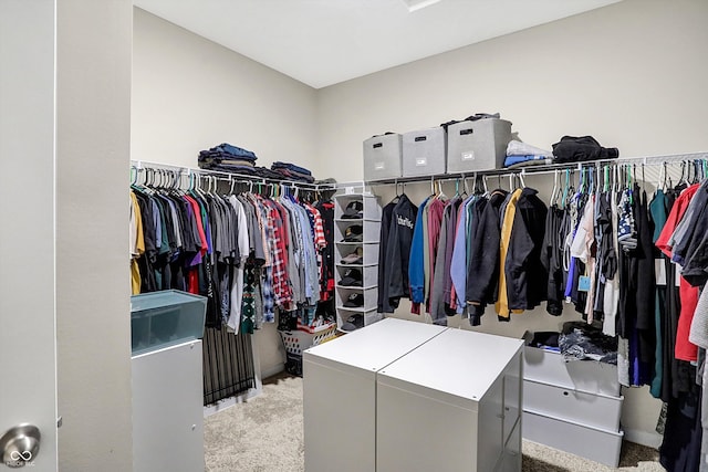 spacious closet with light carpet