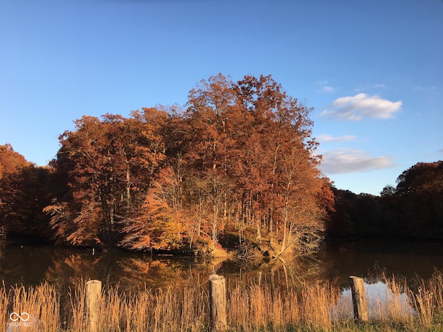 water view featuring a forest view