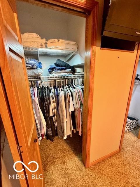 view of closet