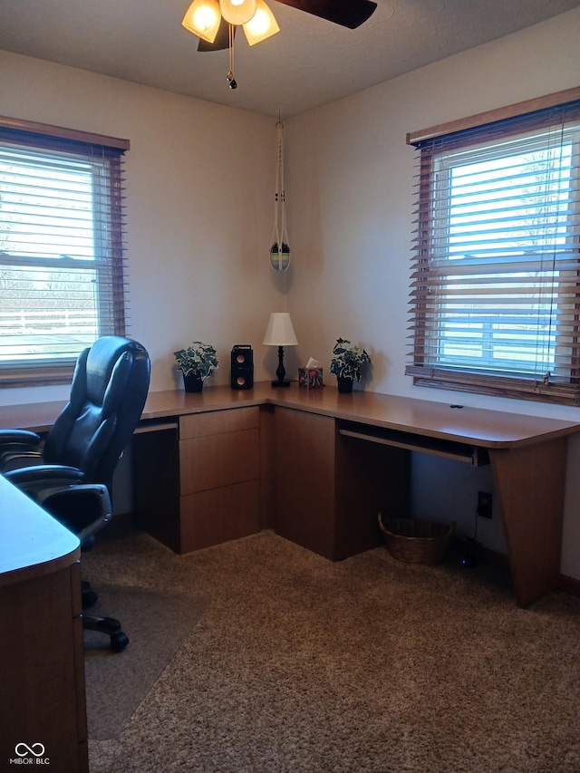 office area featuring ceiling fan and carpet flooring