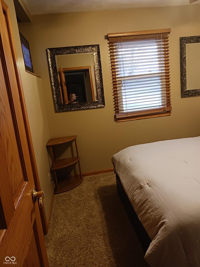 carpeted bedroom with a textured ceiling