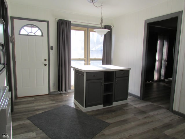 foyer featuring plenty of natural light and dark wood-type flooring