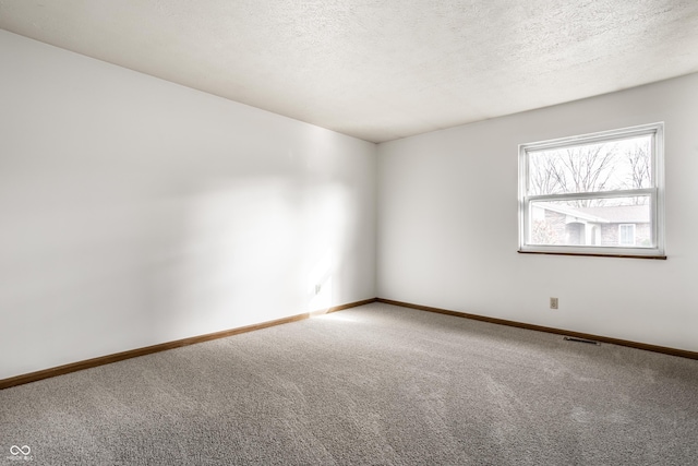 spare room featuring carpet and a textured ceiling