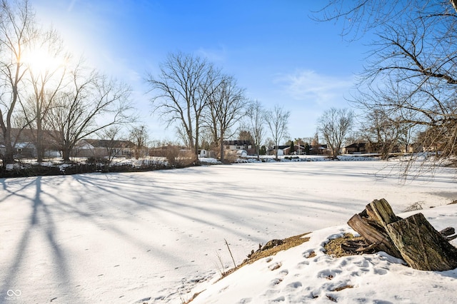 view of snowy yard